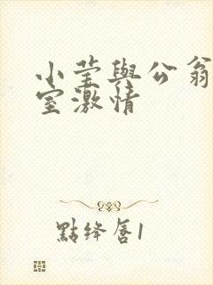 小莹与公翁办公室激情