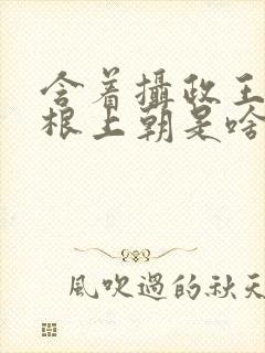 含着摄政王的紫根上朝是啥小说