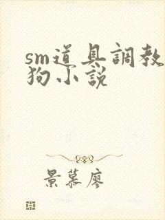 sm道具调教母狗小说