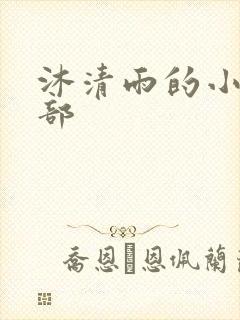 沐清雨的小说全部