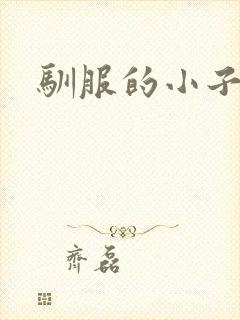驯服的小子4