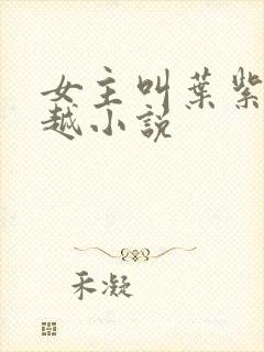 女主叫叶紫的穿越小说