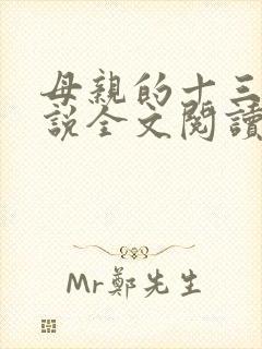 母亲的十三年小说全文阅读
