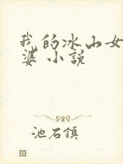 我的冰山女神老婆 小说