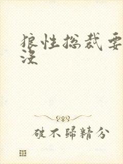 狼性总裁要够了没