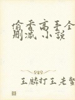 偷香高手全文无删减 小说