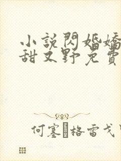 小说闪婚娇妻又甜又野免费阅读封面