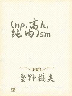 (np,高h,纯肉)sm