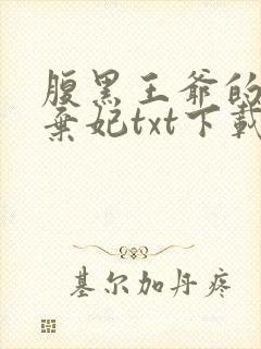 腹黑王爷的绝色弃妃txt下载