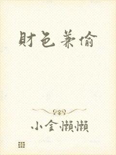 财色兼偷封面