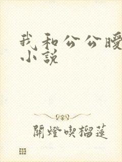 我和公公暧昧的小说