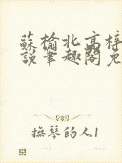 苏榆北高梓淇小说笔趣阁免费阅读
