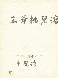 王爷桃儿泻了封面
