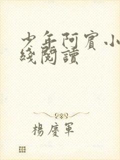 少年阿宾小说在线阅读