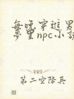 每晚穿进男神的梦里npc小说