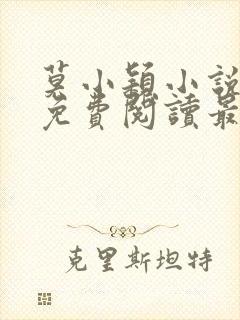 莫小颖小说全文免费阅读最新章节