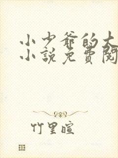 小少爷的大总裁小说免费阅读