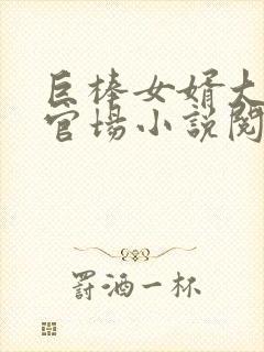 巨棒女婿大宝贝官场小说阅读全文封面