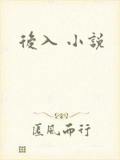 后入 小说