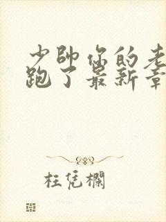 少帅你的老婆又跑了最新章节免费阅读