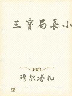 三宝局长小说