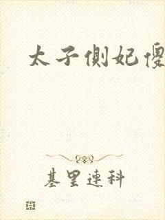 太子侧妃傻乎乎