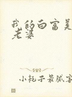 我的白富美总裁老婆