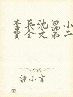 李兵沈思小说免费全文第二章