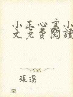 小正心寒小说全文免费阅读封面