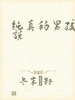 纯真的男孩子小说