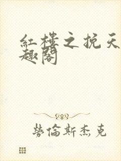 红楼之挽天倾笔趣阁