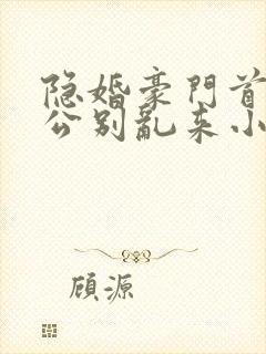 隐婚豪门首席老公别乱来小说