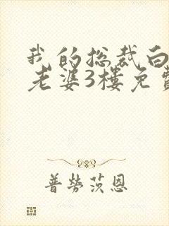我的总裁白富美老婆3楼免费版
