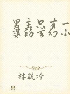 男主只有一个老婆的玄幻小说封面