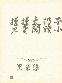 摸摸大扔子小说免费阅读小说