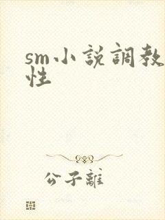 sm小说调教双性封面