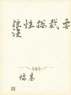狼性总裁要够了没封面