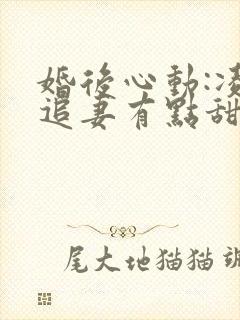 婚后心动:凌总追妻有点甜无删减封面