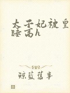 太子妃被皇上强睡高h
