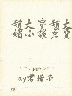 赵大宝赵大勇苏媚小说免费在线阅读