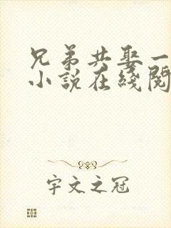 兄弟共娶一妻的小说在线阅读