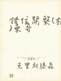 错位关系(校园)东哥