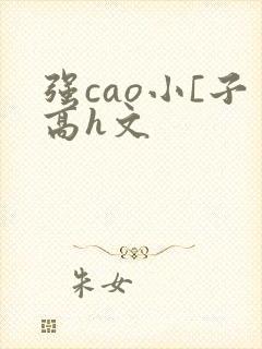 强cao小[子高h文