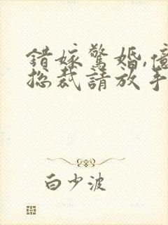 错嫁惊婚,亿万总裁请放手