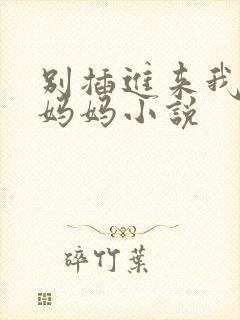 别插进来我是你妈妈小说封面