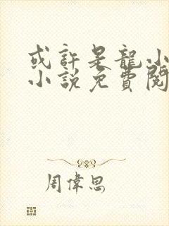 或许是龙小姐吗小说免费阅读封面