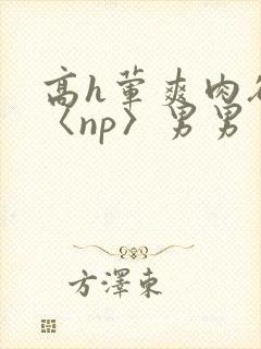 高h荤爽肉欲文〈np〉男男