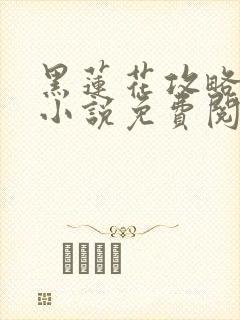 黑莲花攻略手册小说免费阅读封面