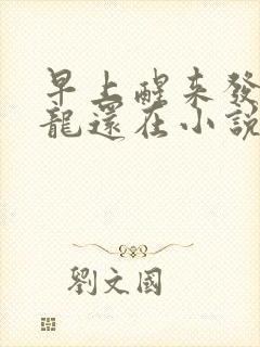 早上醒来发现巨龙还在小说