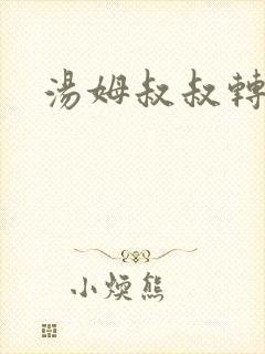 汤姆叔叔转接口
